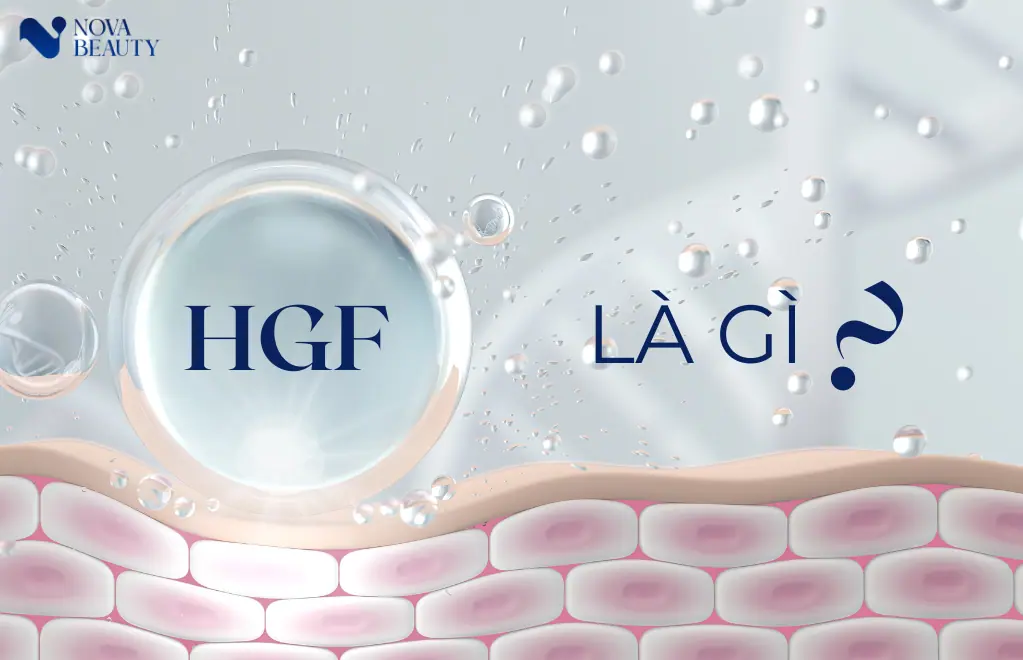 hgf là gì